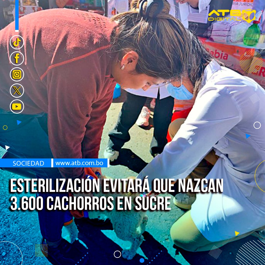 EnConexionbol's tweet photo. Del 23 de junio al 27 de julio, Sucre realizará una campaña gratuita y masiva de esterilización de canes hembras. La meta es intervenir a 450 perritas para controlar la sobrepoblación y prevenir el nacimiento de 3.600 cachorros. #Sucre #EsterilizaciónCanina #ControlPoblacional https://t.co/mUjK3X0ugC