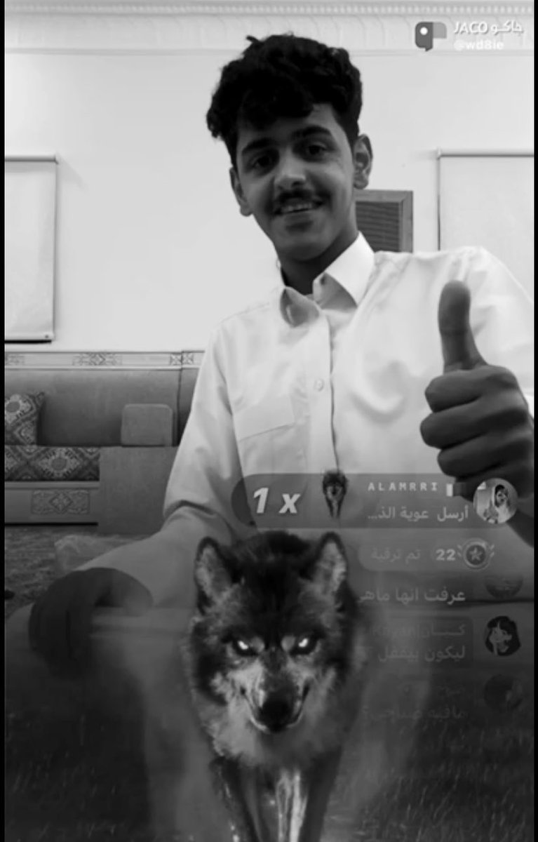 -
#سيف_المعبدي