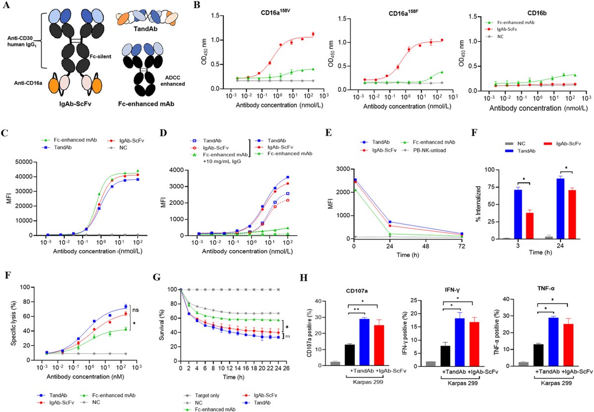 Letter to Editor✍️#Design and #functional characterization of a #tetravalent #NK cell-engaging #bispecific #antibody with enhanced half-life for #CD30+ #lymphoma. From Dr. HU <a href="/FudanUniversity/">Fudan University</a>; <a href="/ELSpharma/">Elsevier Pharma</a>. 
sciencedirect.com/science/articl….