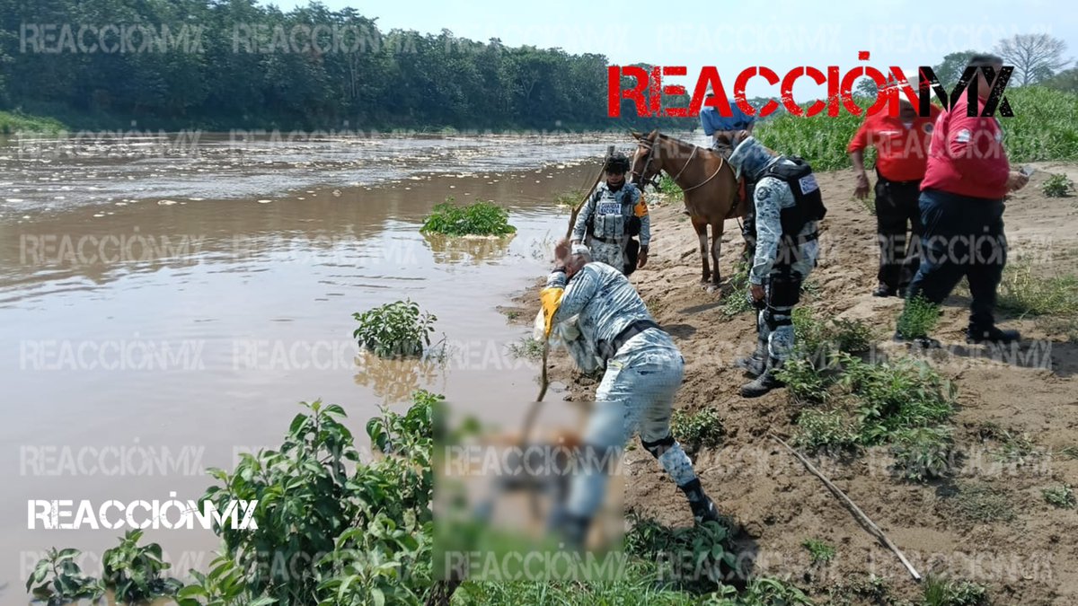 #Entérate🚨|| Esta tarde, ciudadanos del ejido Montaña, hallaron el cuerpo sin vida de un masculino, en el río La Sierra, cerca del puente Filemón, carretera Jalapa a Tacotalpa.

#Reacciónmx #Jalapa 📸