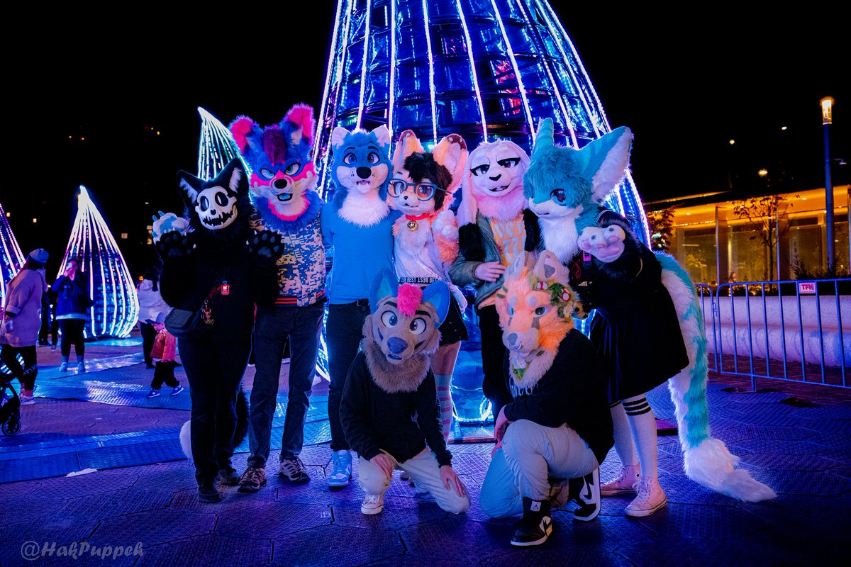Vivid Sydney 💙

📷:<a href="/HakPuppeh/">Hak Puppeh</a> 
#FursuitFriday #furry #fursuit