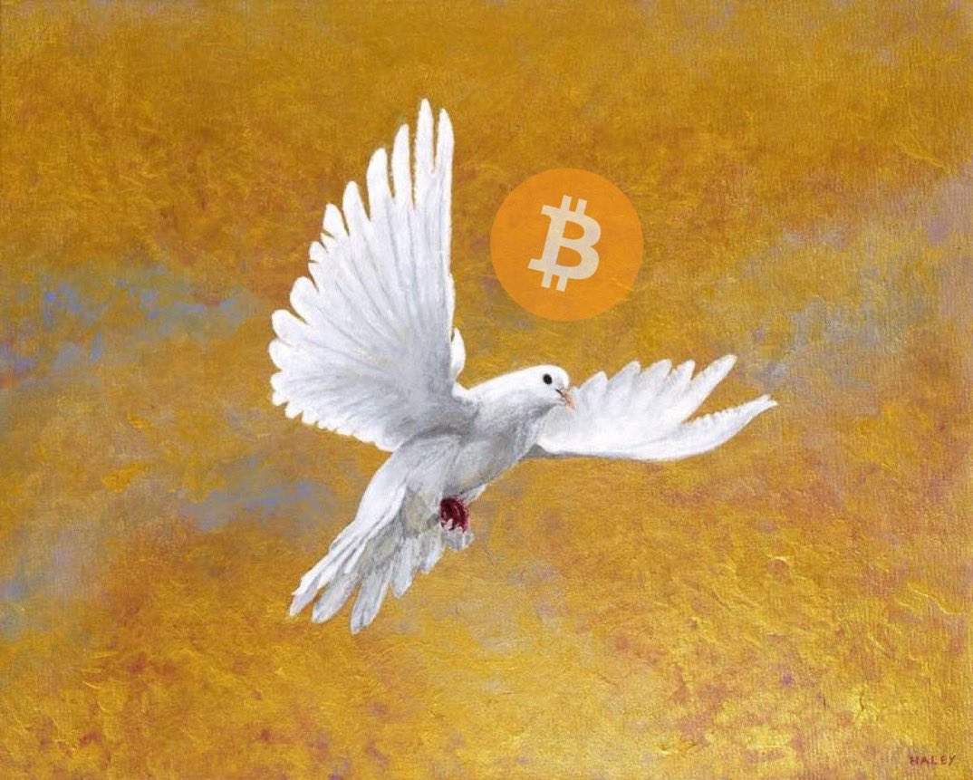 alanbwt's tweet image. Opt out of funding fiat wars via Bitcoin.