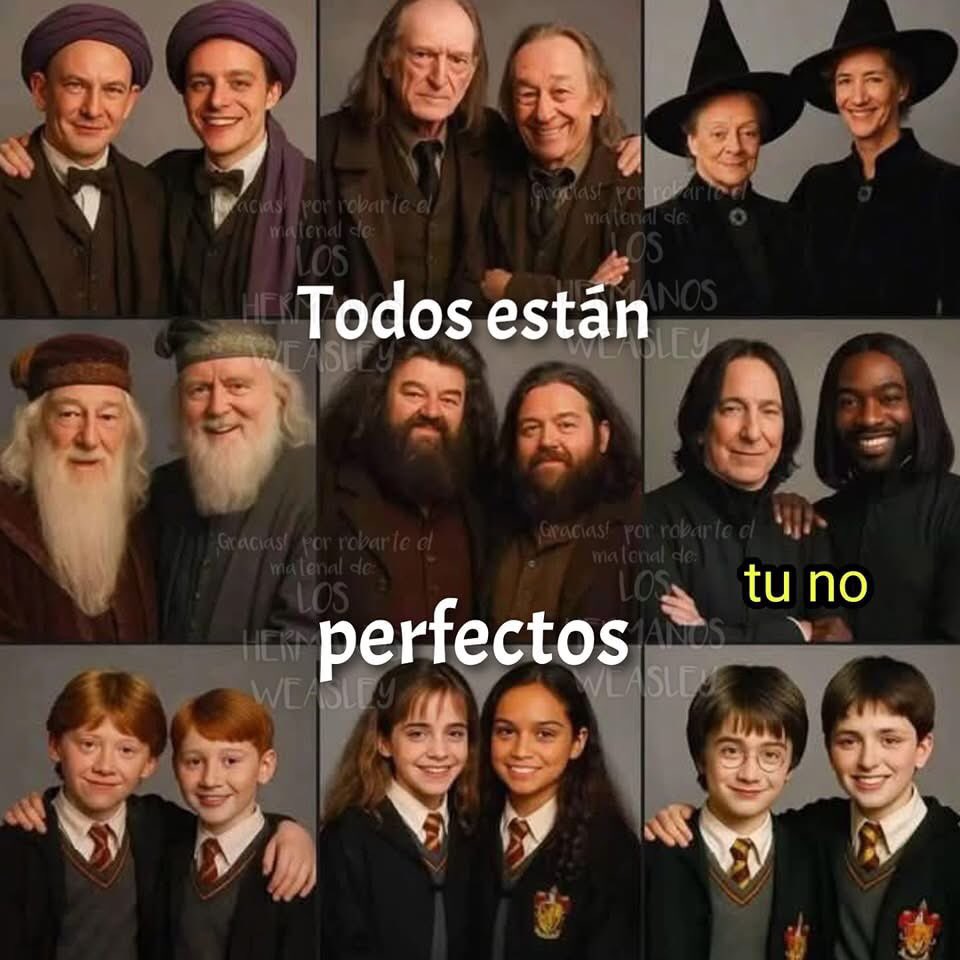 PriscilaPdG's tweet photo. @HPotterUniverse https://t.co/LvXy0YVcNO
