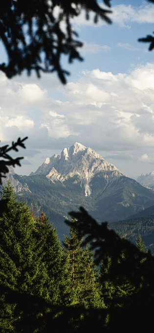 Rise above all the hate 🗻☮️☁️🌲💙💙 <a href="/Carol_Cook78/">Colorado Gal</a> <a href="/Sentimentalgal5/">AnimalLover🐧💥</a> <a href="/Michael73312708/">Michael Smith</a> <a href="/LDM_tigergirl/">LM 🇺🇸🟧🗽</a> <a href="/real_true_blue_/">Facts are vital</a> <a href="/tomtom78953/">Grumpy Cat 🇺🇸💙♻️⚖️🗽</a> <a href="/BornFree_isms/">LA🇨🇦🦋</a> <a href="/bedillion_joann/">Joann Bedillion</a> <a href="/BBabs6060/">Die Haare grau, aber dennoch jung geblieben</a> <a href="/yorkshireguy3/">YorkshireGuy</a> <a href="/TDwightGeer/">Dwight Geer</a> <a href="/TheTideisHigh23/">SAW</a> <a href="/tena_lynn03/">Tena M</a> <a href="/BrandonB3062/">🔥 King B 🔥</a> <a href="/YvonneCal/">Yvonne</a> <a href="/BKbrgr/">Bribri</a> <a href="/BadkingMwahaha/">Badking mwahaha</a>