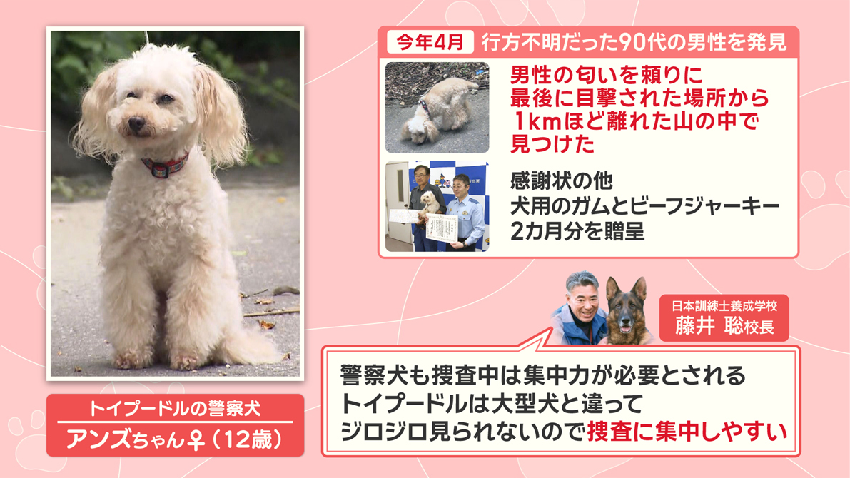 羽鳥慎一モーニングショー on X