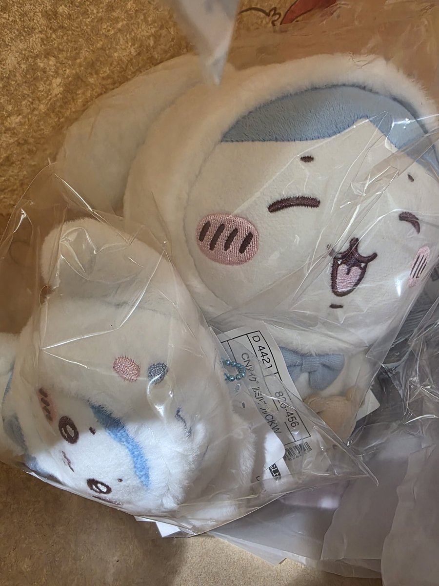 ハチワレ「今日はちいかわのサンリオ当選したので朝からサンリオショップ ハチワレ買えた」|リツコ (´⊗ゝ⊗`)のイラスト