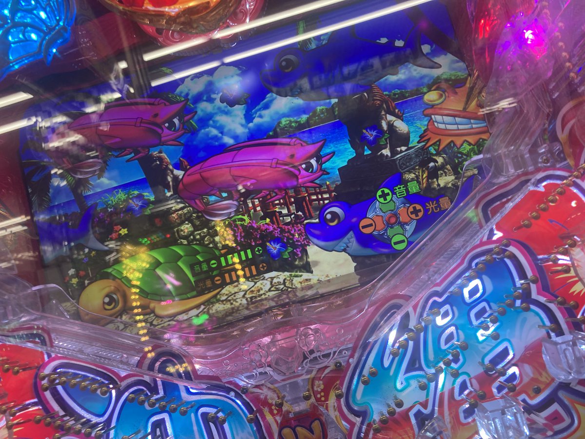 撮影撮影ーーーー