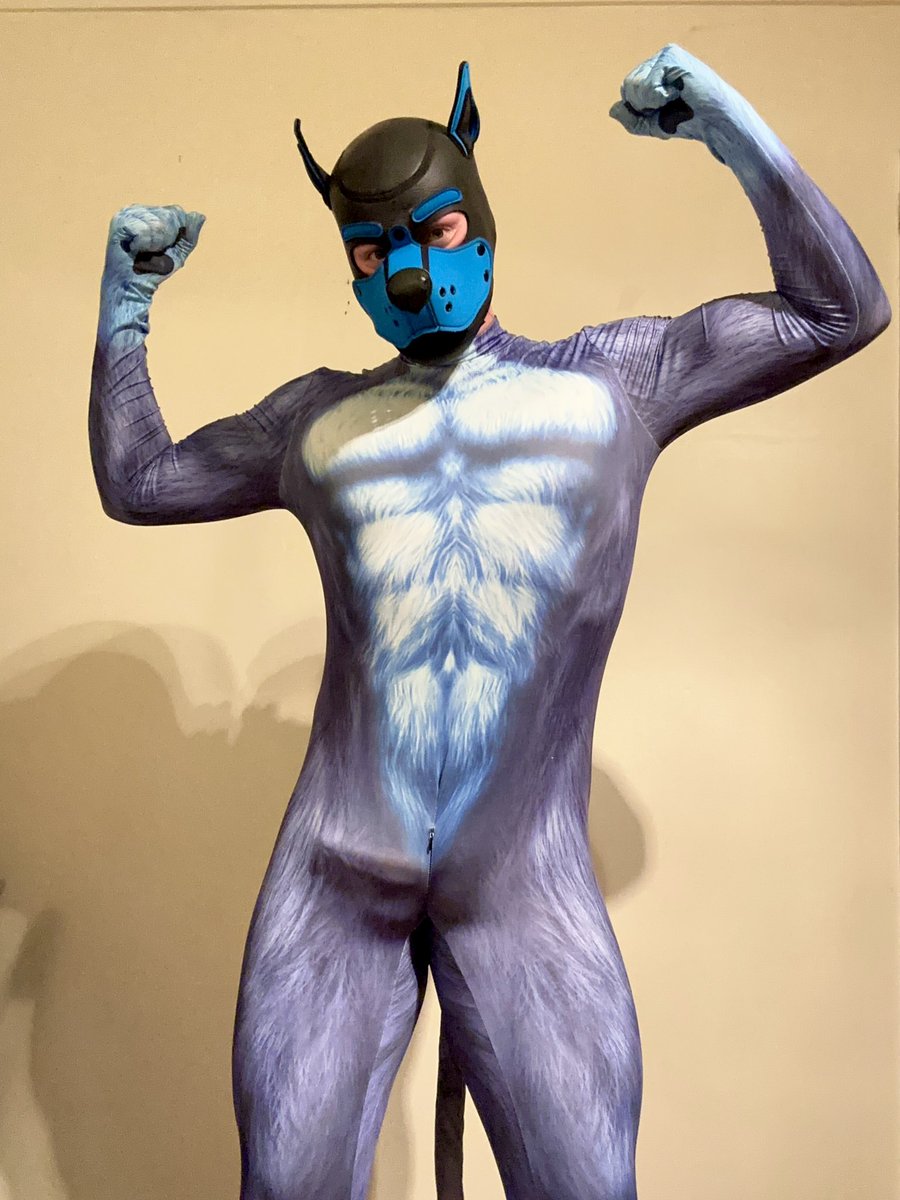 Pup Spidey tweet media