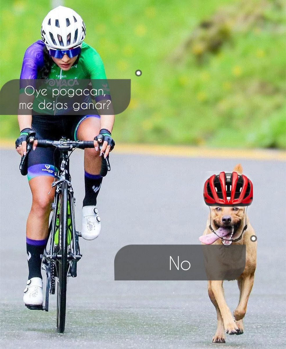 Gea43277969's tweet image. @bichospedal