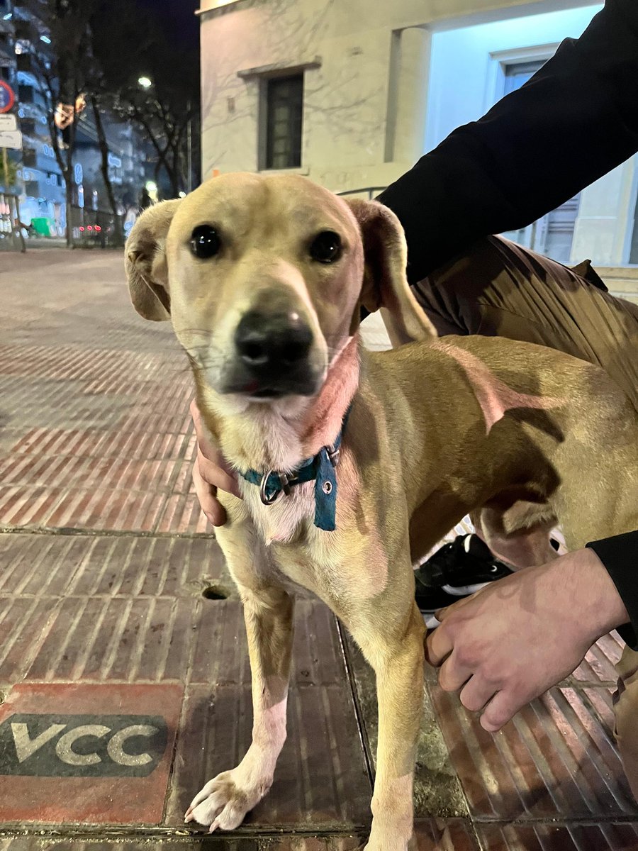 <a href="/VivireNuevaCba/">VivirenNuevaCórdoba®</a>