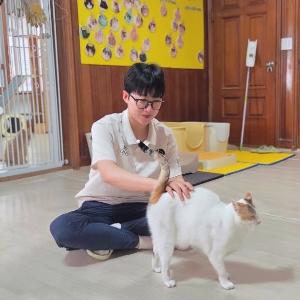 니 진짜 고양이야?