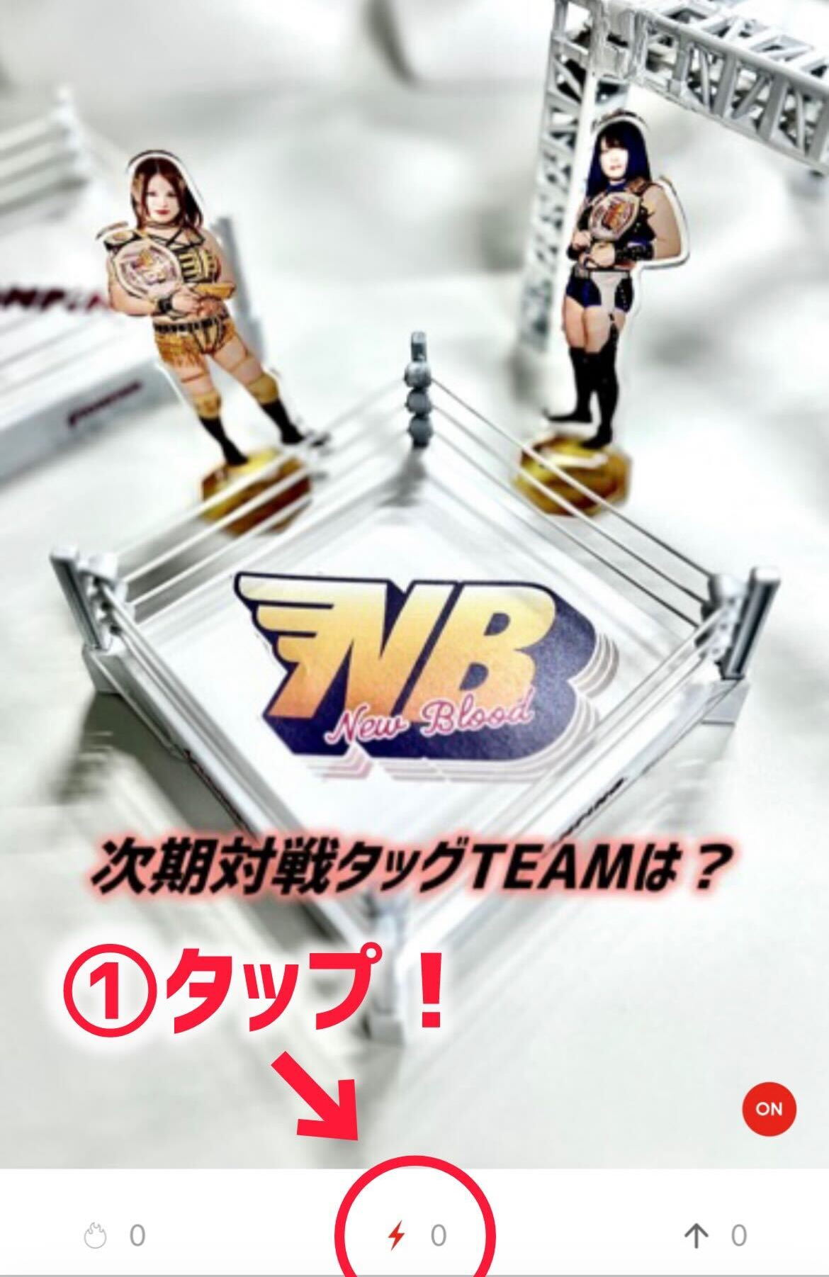 いま人気のアイテム STARDOM ラップパーカー 2024 WEB限定カラー