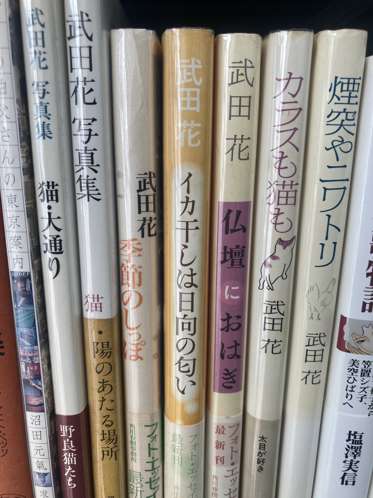 古書現世 📚 向井透史@新刊『早稲田古本劇場』 on X: 