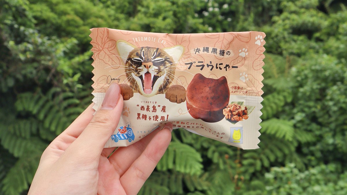 現在販売中の「沖縄黒糖のブラウにゃー」の パッケージに描かれている