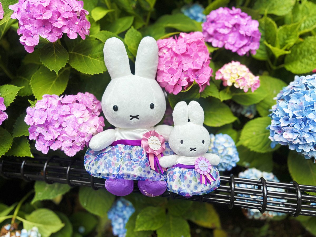 6月新登場！ #セレブレーションミッフィー 🐰🎂 ＼ 6/21(土)のお誕生日