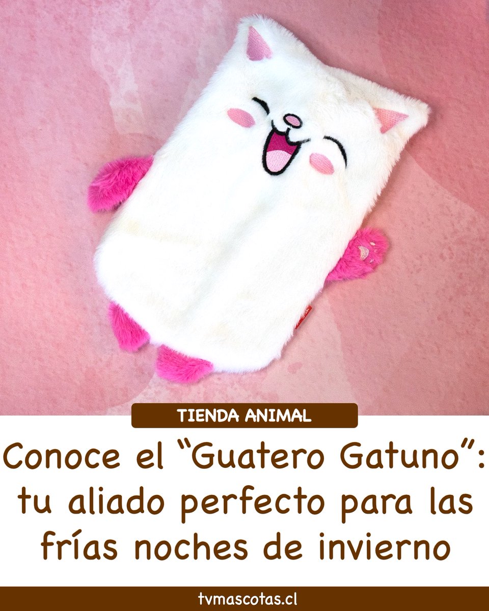 ¡TIENDA ANIMAL! Conoce el “Guatero Gatuno”: tu aliado perfecto para las frías noches de invierno. 🔥😻🧣
👇👇👇
tvmascotas.cl