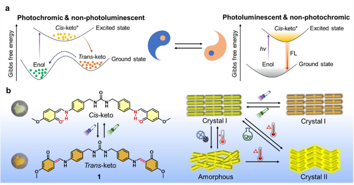 Meixia He tweet media