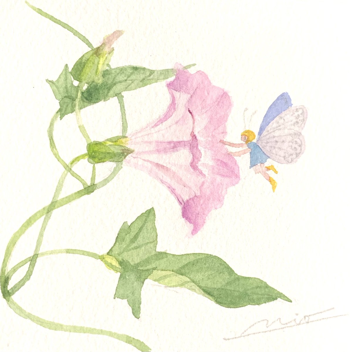 MioMyaoMom's tweet photo. #ArtMall #日本橋三越前
#紫陽花 #昼顔
#hydrgngia #falsebindweed
#水彩 #watercolor
#NoWar
日本橋三越前の #アートモール 様に、小品をお預けしてきました。三越あたりにおついでのある方、是非お立ち寄り下さい❣️
紫陽花 星くずみつけた! 15×15cm
昼顔のうた 10×10cm
ほか2点 https://t.co/WJ1ue5aZe7