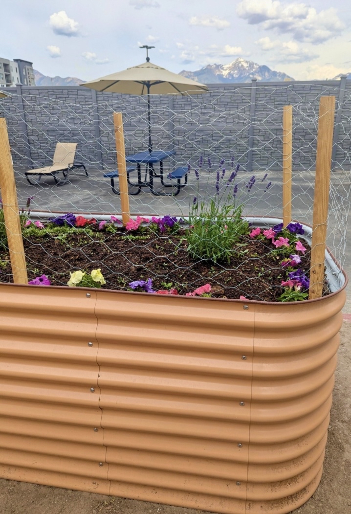 This spring the Most Vulnerable People program launched a therapeutic gardening program, using large garden boxes in the courtyard. This has been a wonderful addition to the program, as many clients can now engage with care providers in a very approachable &amp; therapeutic manner!