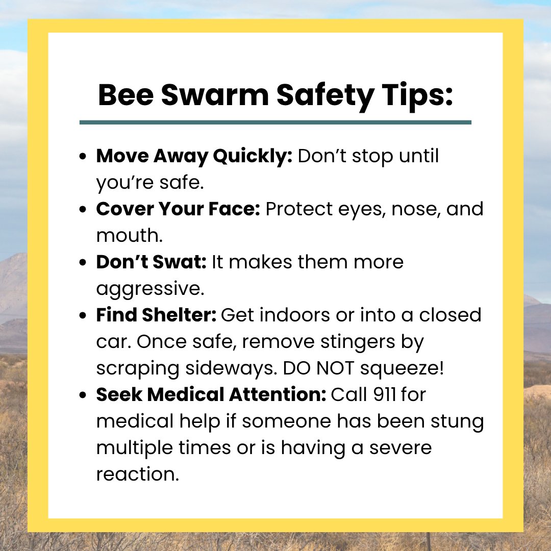 As we move into warmer weather, it’s a good time to stay aware of your surroundings outdoors. Knowing what to do if you come across a swarm of bees can help keep you safe. Check out these quick tips.