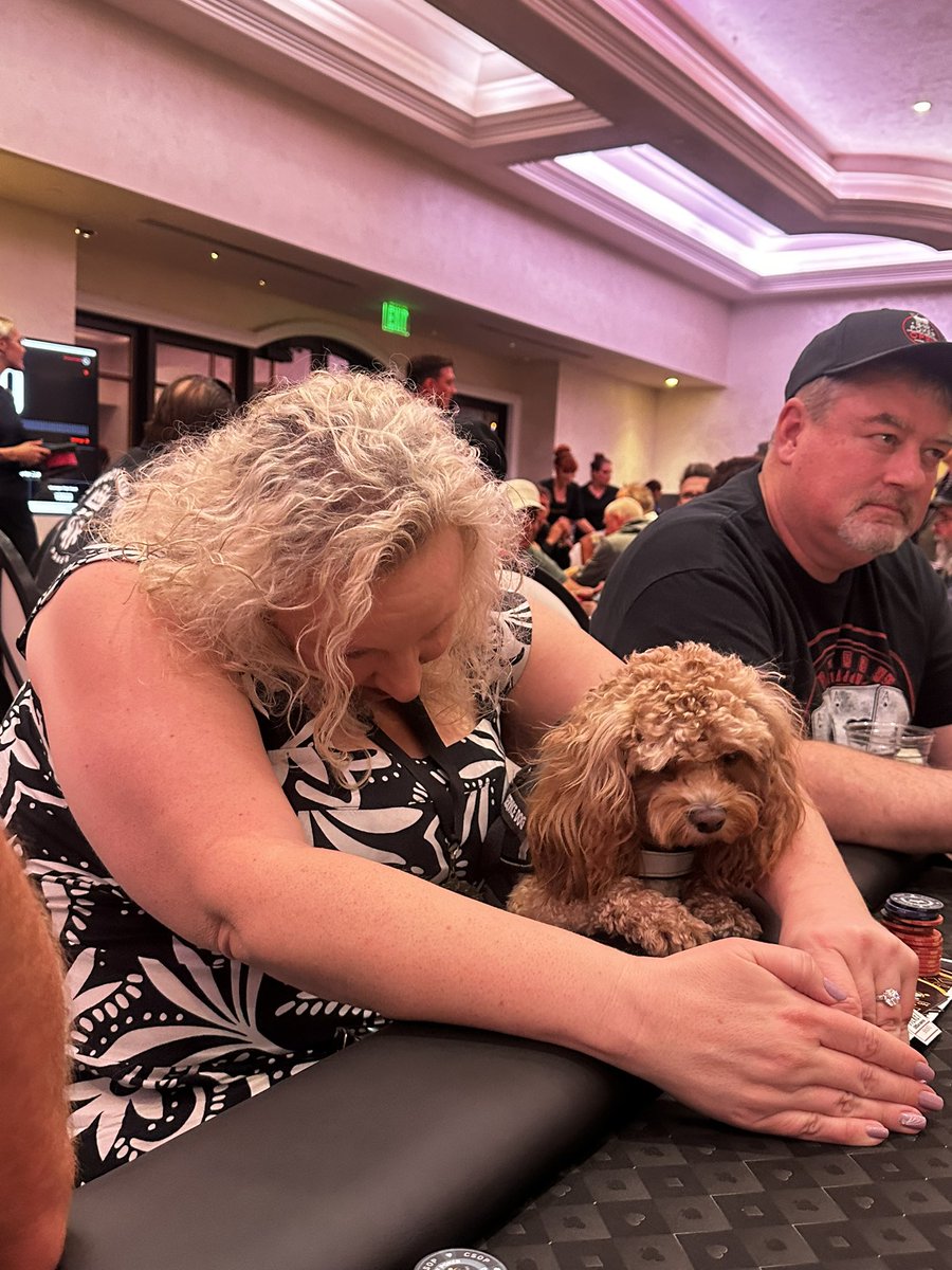 PokerNews (@pokernews) on Twitter photo We are here at the <a href="/TheCSOP/">CharitySeriesOfPoker</a> and we have a special guest at our table!
The one and only @oceanpup and <a href="/CavaFloof/">Carmen MurderFloof Floofington</a> from <a href="/PokerStars/">PokerStars</a> The Big Game! We are here at the <a href="/TheCSOP/">CharitySeriesOfPoker</a> and we have a special guest at our table!
The one and only @oceanpup and <a href="/CavaFloof/">Carmen MurderFloof Floofington</a> from <a href="/PokerStars/">PokerStars</a> The Big Game!