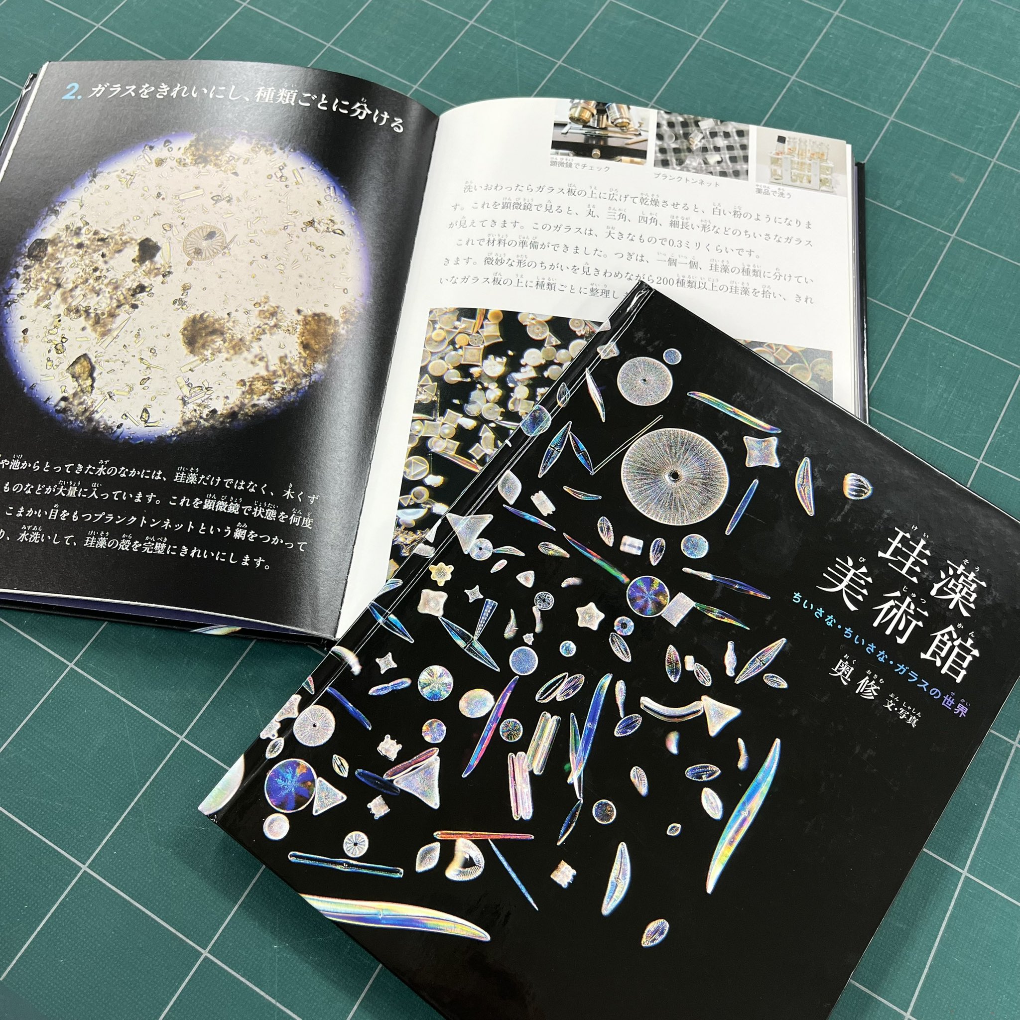 たくさんのふしぎ 2022年12月号 (発売日2022年11月02日) | 雑誌
