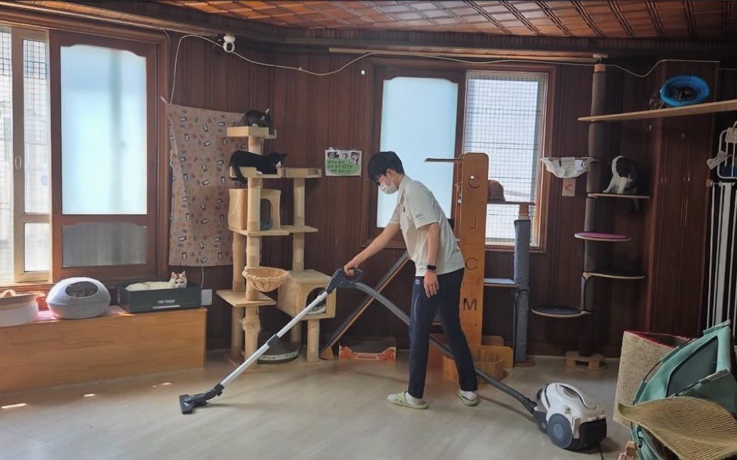 아기도 귀여운데 고양이들 청소기 소리 극혐해서 다들 안정감 찾는데에 들어가거나 올라가잇는거 넘 귀엽다 ㅋㅋㅋ청소기 소리가 애옹이한테는 하악질 하는거랑 비슷하게 들린다네요,,, 쉬지않고 20분동안 저 기계가 자기한테 쌍욕을 하는것임....지금 존나 참아주고 있다고 야옹님들이 ...