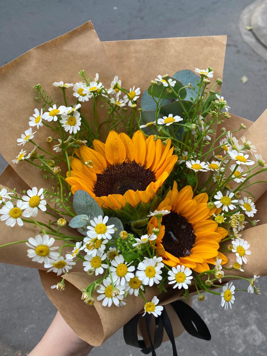 sunflowerchives's tweet photo. pretty https://t.co/lM7svKLWtS