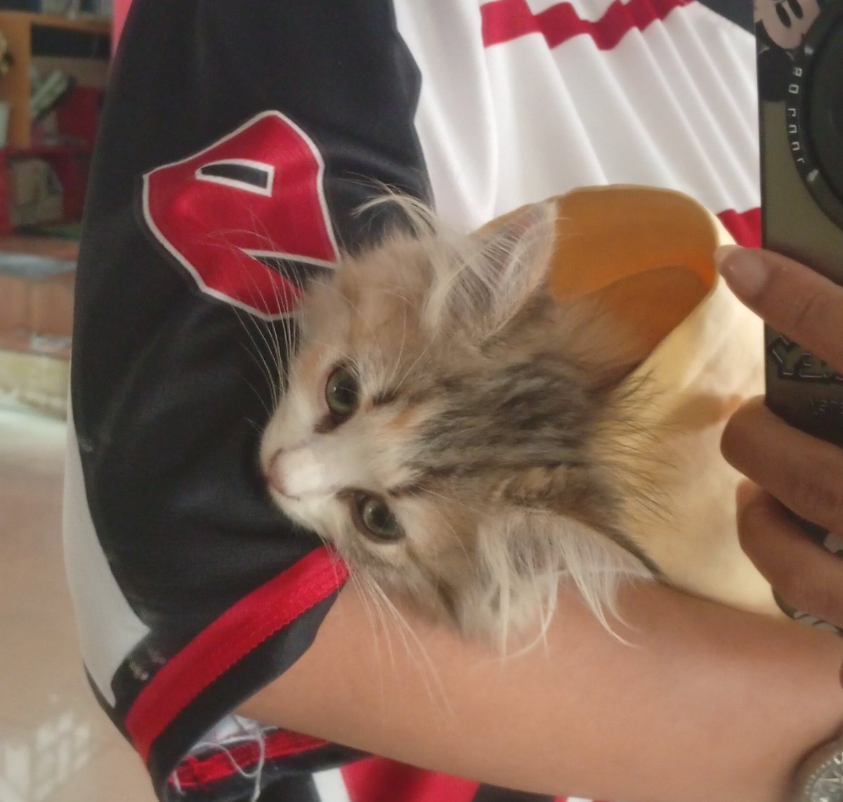 anak kecil ini kok mau aja ya digulung kayak kebab