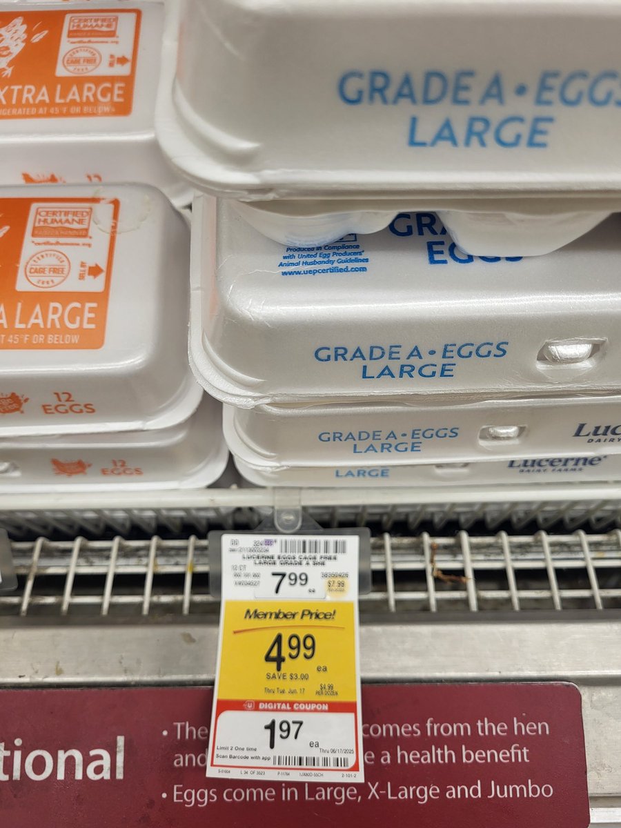 PkLowly's tweet image. I hate how excited this makes me feel 💀