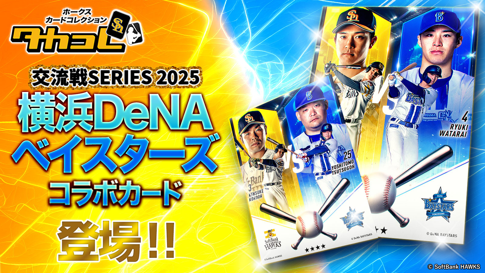 【Taka ☺︎】　横浜DeNAベイスターズ試合球・チケットファイルセット 交流戦2025/チケットホルダー/VISITOR（4570199856550）|商品