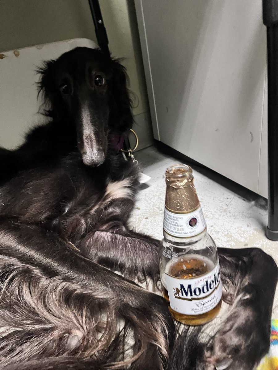 cracking open a cold one with the Creature