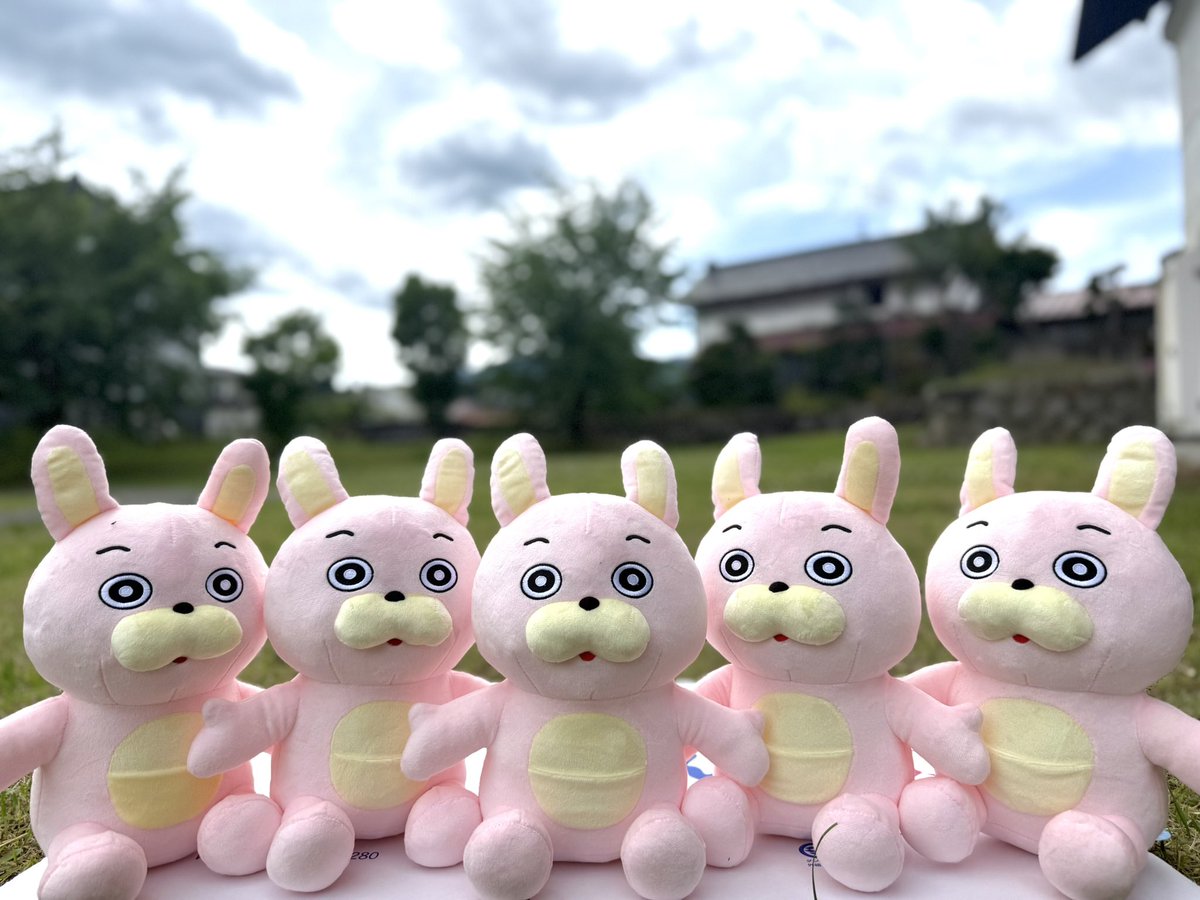 桃色ウサヒ グッズまとめ売り 一社）七ヶ浜町観光協会 on X: 