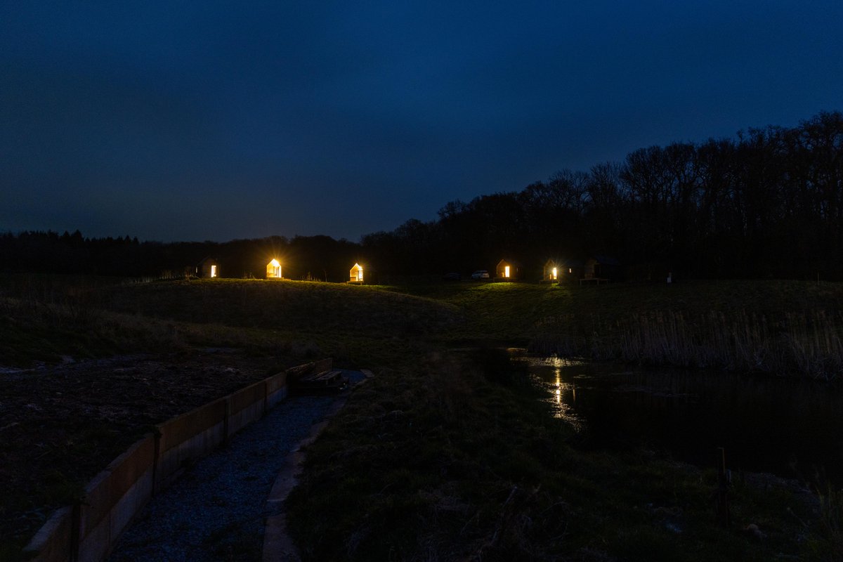 Adam Harrison tweet media