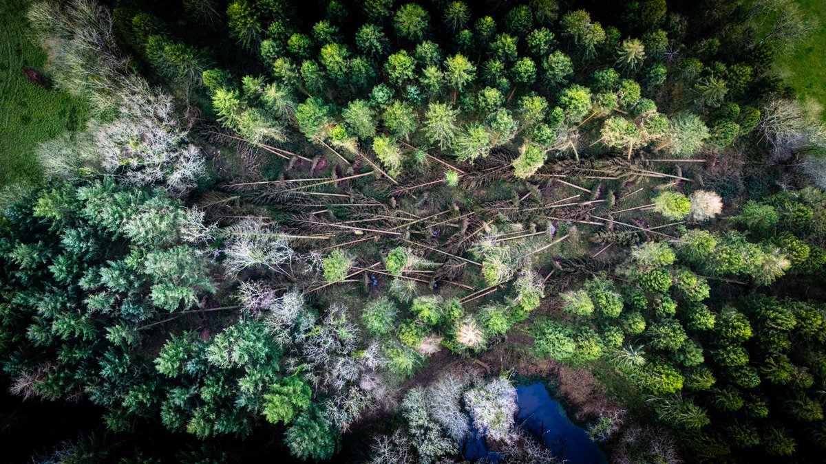 Adam Harrison tweet media