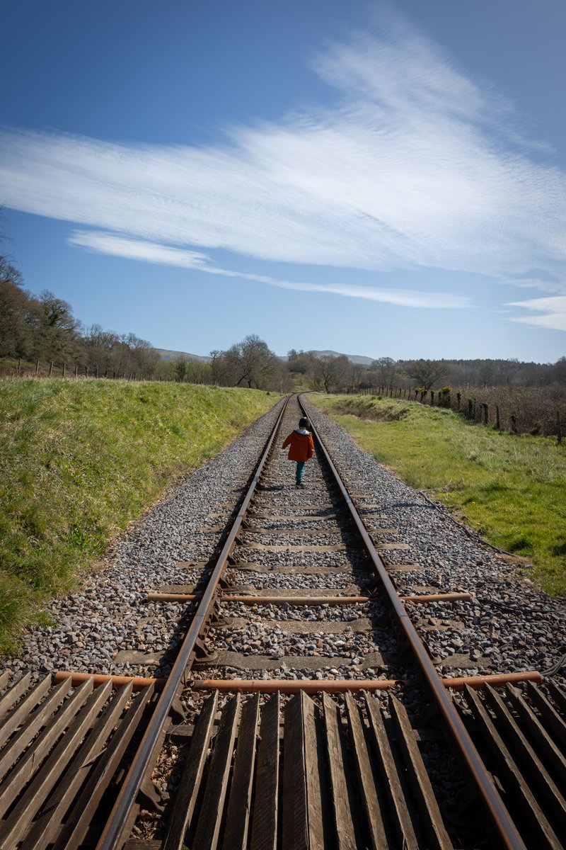 Adam Harrison tweet media