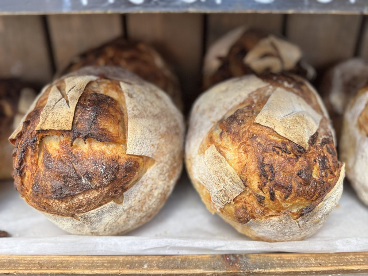 This weekends special available Friday &amp; Saturday… roasted garlic, goats cheese &amp; cheddar sourdough #cheese #sourdough #real bread #bread #freshbread #bakery #harrogate #coldbathroad #shoplocal #homemade #shop #mannabakeryharrogate #yorkshire #food #sourdoughbread