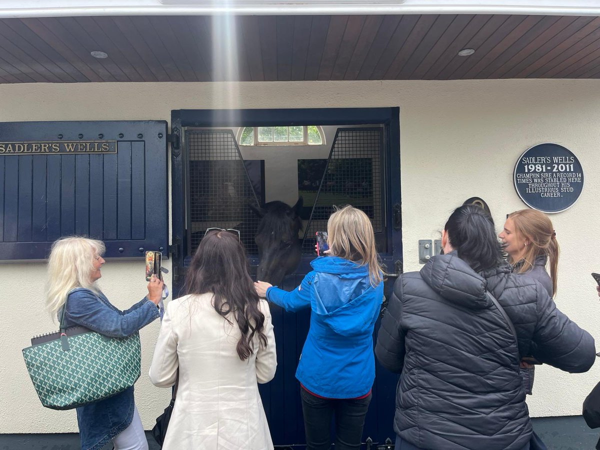 Women’s Irish Network for Racing (@winforracing) on Twitter photo This time last week ✨
Relive our second event of the year which took place last week. A trip to the <a href="/FHCexperience/">Fethard Horse Country Experience</a> , followed by a tour of <a href="/coolmorestud/">Coolmore</a> and lunch at <a href="/sadlersfethard/">Sadler's Fethard</a>
Huge thank you to @horsecountryire for organising the trip for us. This time last week ✨
Relive our second event of the year which took place last week. A trip to the <a href="/FHCexperience/">Fethard Horse Country Experience</a> , followed by a tour of <a href="/coolmorestud/">Coolmore</a> and lunch at <a href="/sadlersfethard/">Sadler's Fethard</a>
Huge thank you to @horsecountryire for organising the trip for us.