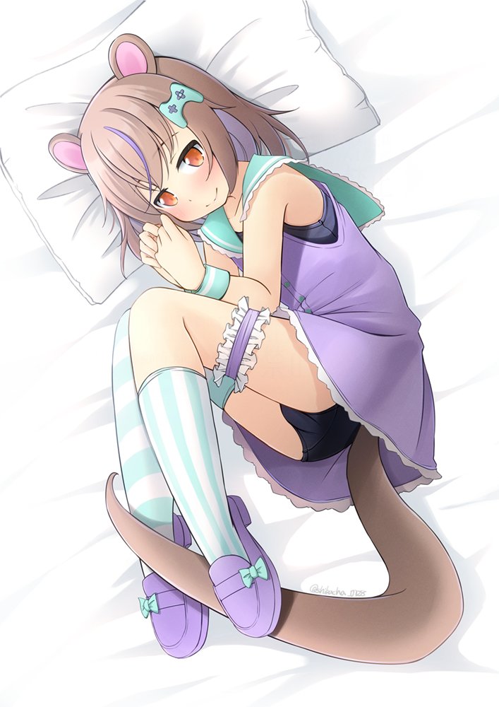 「skebリクエストありがとうございました ご依頼者さんちの子」|柴茶(しばちゃ)のイラスト