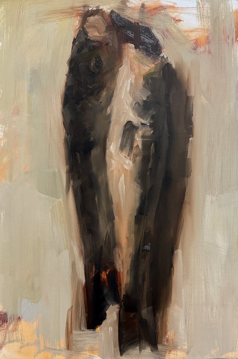 摩須大紀 tweet media