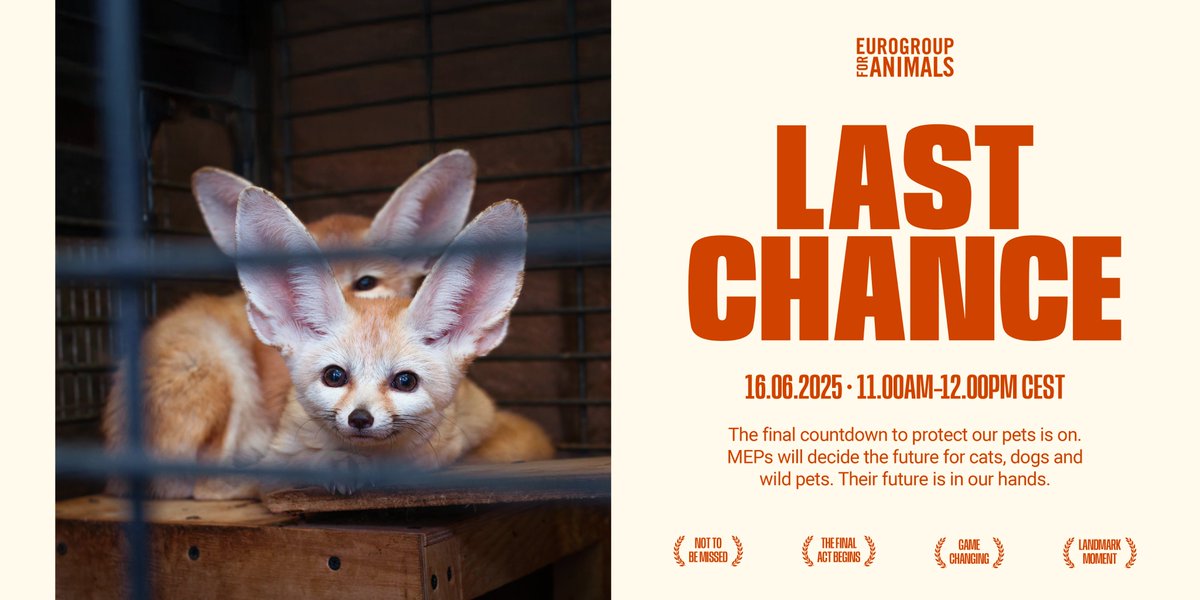 AAP_Europe's tweet image. #HELPNEEDED: Join us and @Act4AnimalsEU to urge MEPs not to leave wild animals behind in legislation! Get ready to make your voice heard on social media: share our posts on Monday between 11 and 12u & tag MEPs who will vote next week on the future of millions of (exotic) animals.