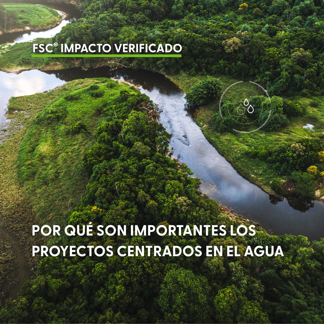 🌿 Mesa redonda: Restaurando bosques con Essity y Woodland Trust
Descubre cómo esta alianza ayuda a gestionar inundaciones y mejorar la calidad del agua.

🗓 20 de junio | 14:00 CEST
🔗Reserva tu plaza: fsc-int.zoom.us/meeting/regist…