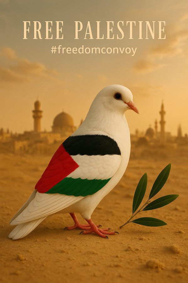 Bir İncİ (@bahadir_huseyni) on Twitter photo 