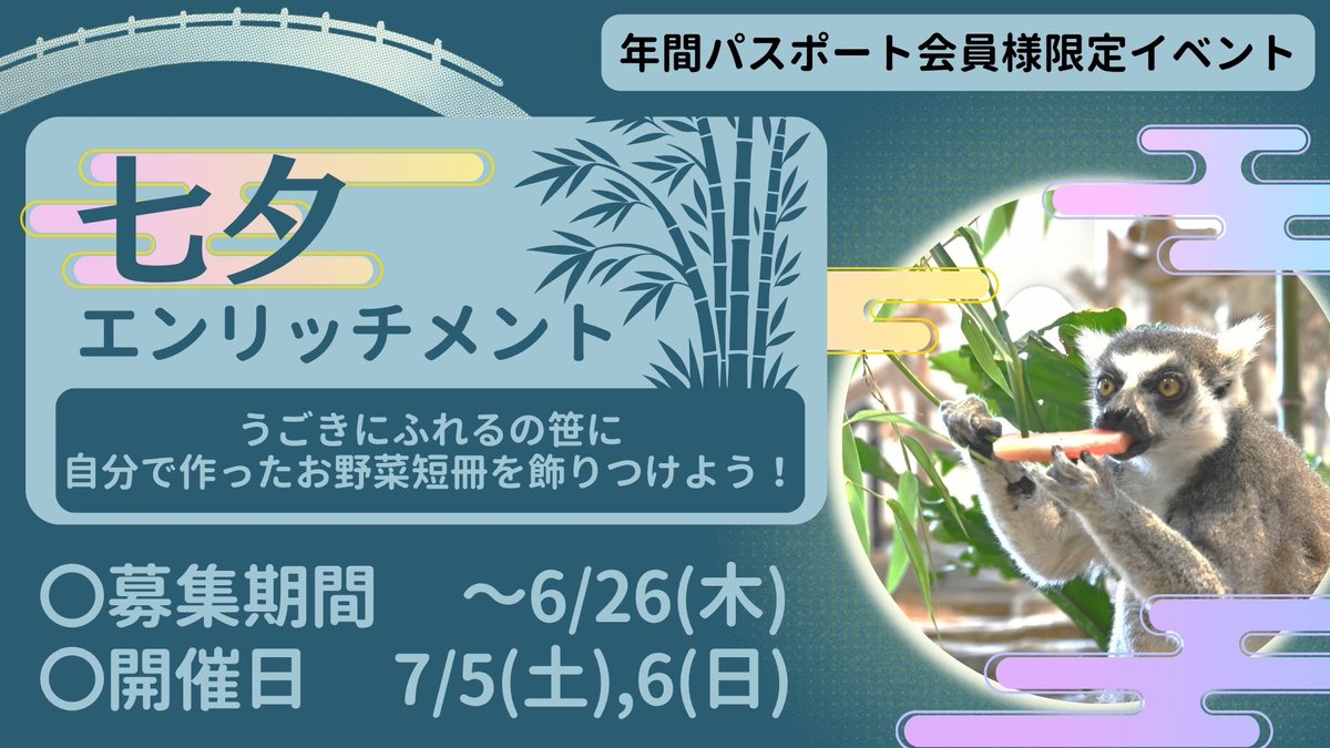 ニフレル年間パスポート会員様へ📢

7月のイベントは工夫は想い
「七夕エンリッチメント」

開館前のニフレルで、
竹に飾るお野菜短冊を作りながら
「エンリッチメント」について
キュレーターと一緒に学んでみましょう！

応募はこちらから👇
nifrel.jp/eventnews/2025…

#ニフレル