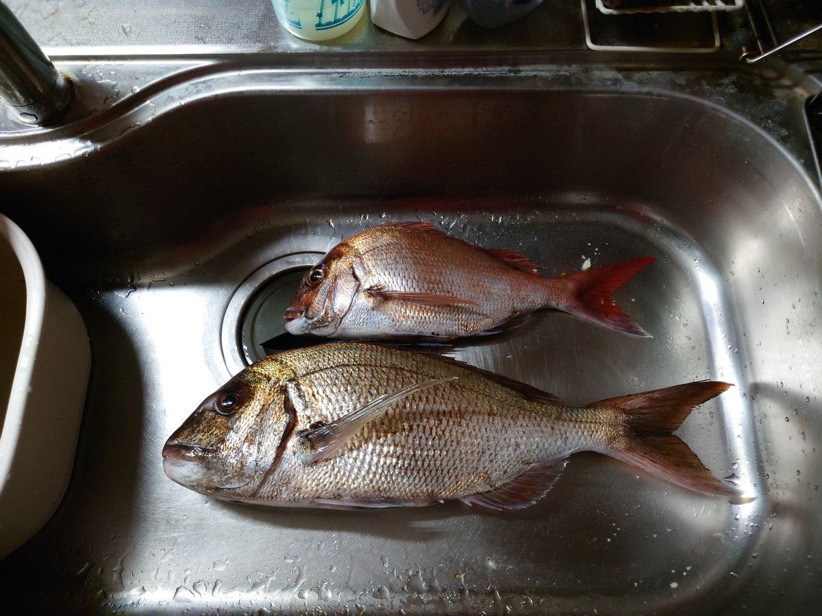 kotetu729's tweet image. 二枚で終わり！