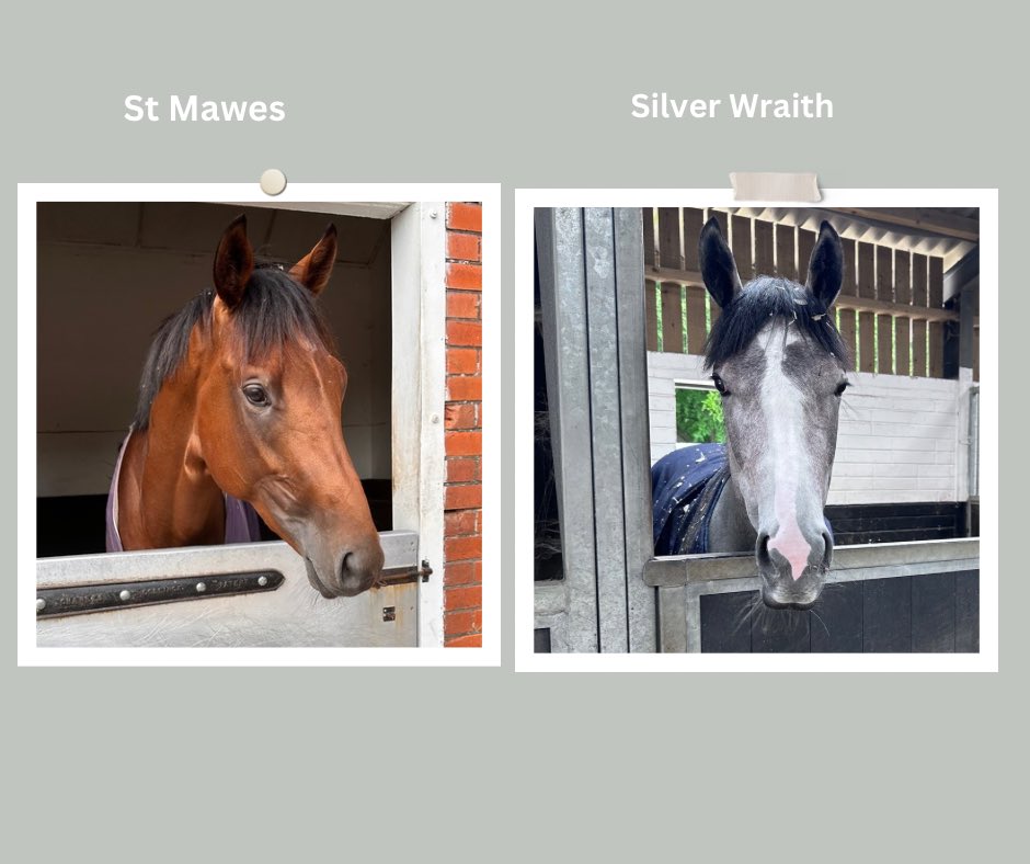 Emma Lavelle (@elavelleracing) on Twitter photo π Friday 13th June π
πΉ <a href="/Sandownpark/">Sandown Park</a> 5.00 pm St. Mawes π Edward Greatrex rides
πΉ<a href="/Goodwood_Races/">Goodwood Racecourse</a> 7.50 pm Silver Wraith π <a href="/OsborneSaffie/">saffie osborne</a> rides #Goodluck#TeamLavelle π π π Friday 13th June π
πΉ <a href="/Sandownpark/">Sandown Park</a> 5.00 pm St. Mawes π Edward Greatrex rides
πΉ<a href="/Goodwood_Races/">Goodwood Racecourse</a> 7.50 pm Silver Wraith π <a href="/OsborneSaffie/">saffie osborne</a> rides #Goodluck#TeamLavelle π π