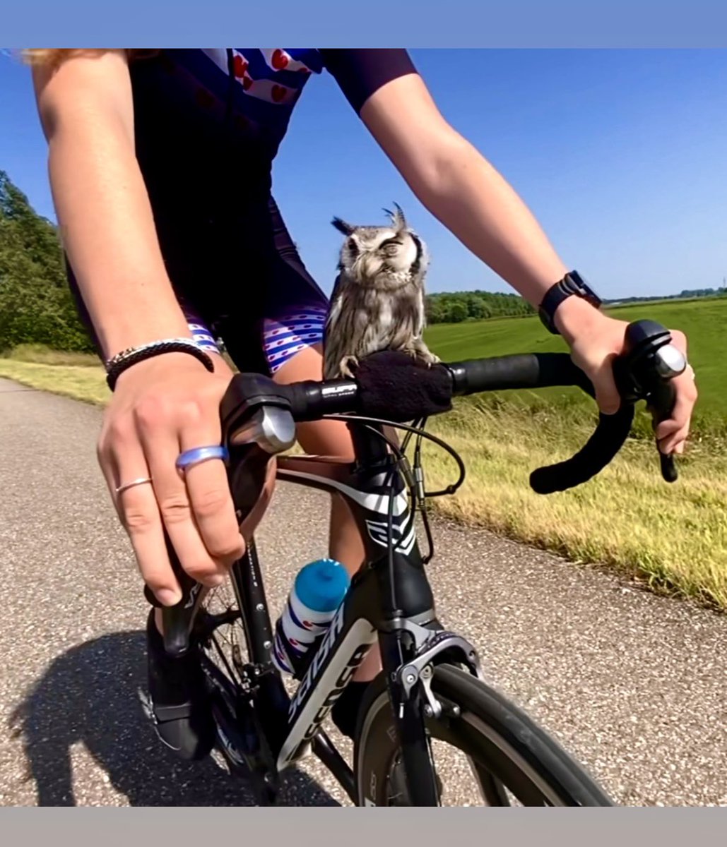 Margriet de Schutter (@margrietdes) on Twitter photo Fijn om weer heel even in Nederland te zijn 🇳🇱 en als reporter voor <a href="/schaatsennl/">schaatsen.nl</a> op bezoek te gaan bij jonge schaatsster Antje Ypma met wel een heel bijzonder trainingsmaatje: Twirre🦉😁
Binnenkort te zien op Schaatsen.nl 📽️✨ Fijn om weer heel even in Nederland te zijn 🇳🇱 en als reporter voor <a href="/schaatsennl/">schaatsen.nl</a> op bezoek te gaan bij jonge schaatsster Antje Ypma met wel een heel bijzonder trainingsmaatje: Twirre🦉😁
Binnenkort te zien op Schaatsen.nl 📽️✨