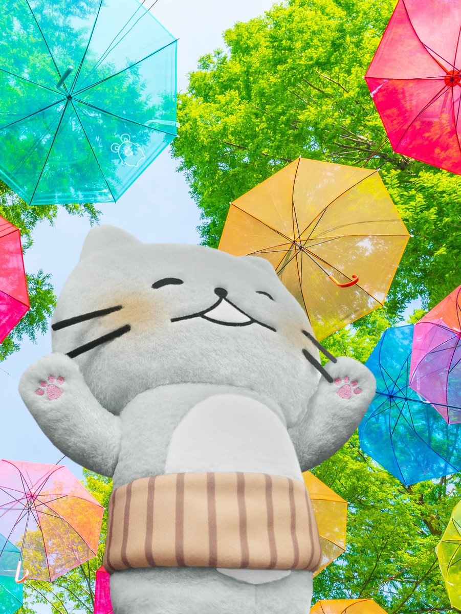 ニャーおっさん (@nyaossan) / Posts / X