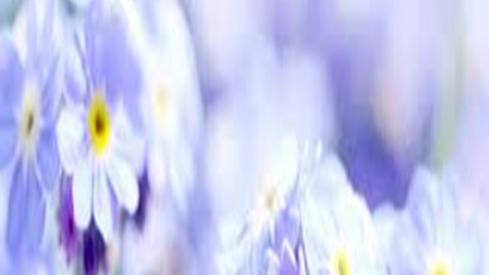 Action Mesothelioma Day - Friday 4th July 25
 
The Everglades Hotel, Derby Road, Widnes, WA8 3UJ                         main entrance from 9.45am - 1pm.

We have several speakers and a meditation class.  
Free event at which all are welcome☺️