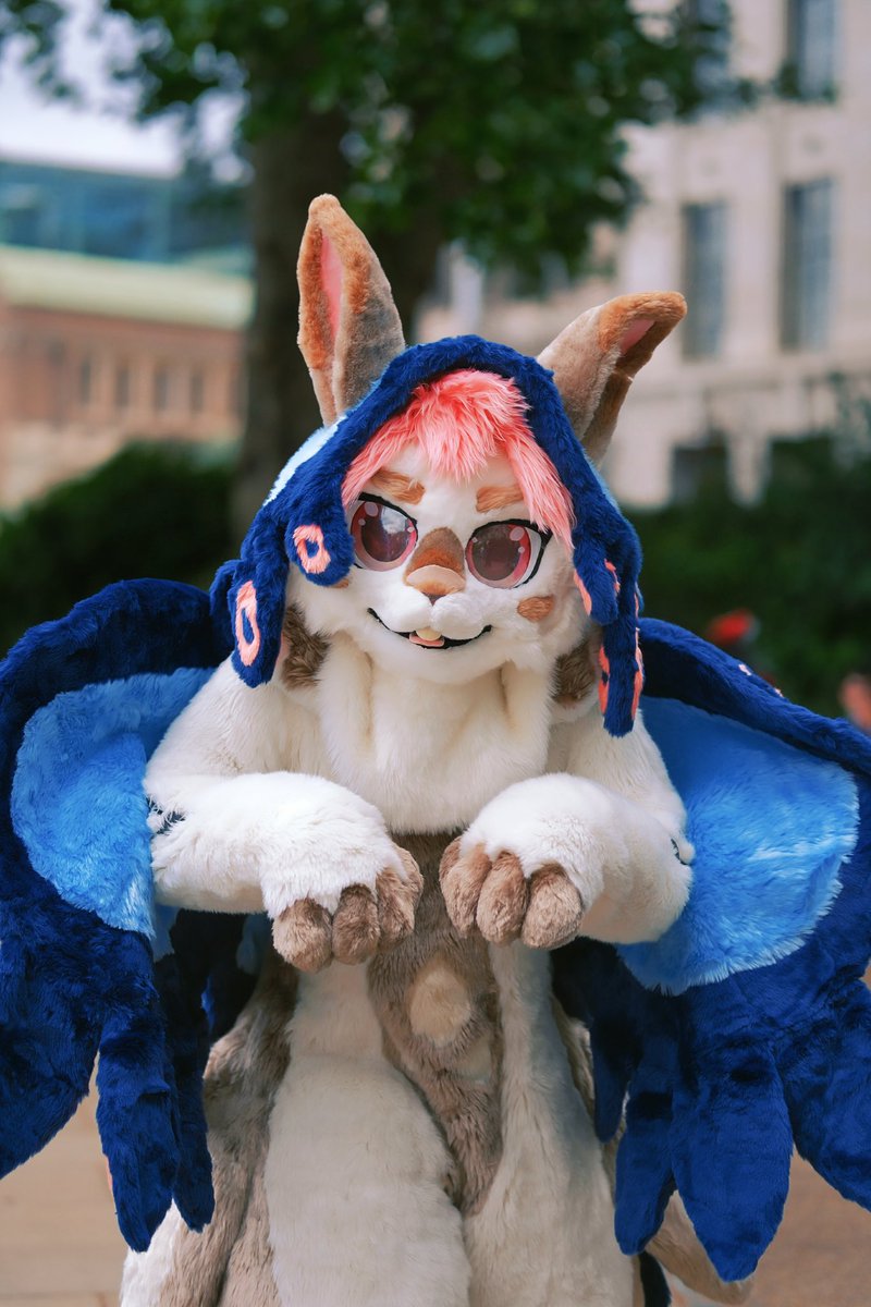 👉换本体来营业

#FursuitFriday 
🧸<a href="/Sion1Len/">Sion.Len</a> 
📷<a href="/HUFUFUHUHU/">HUHU~</a>